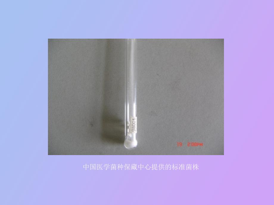 菌种保藏和使用技术_第4页