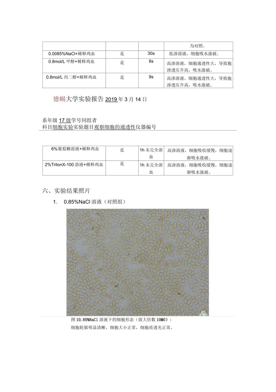 细胞通透性实验报告_第3页