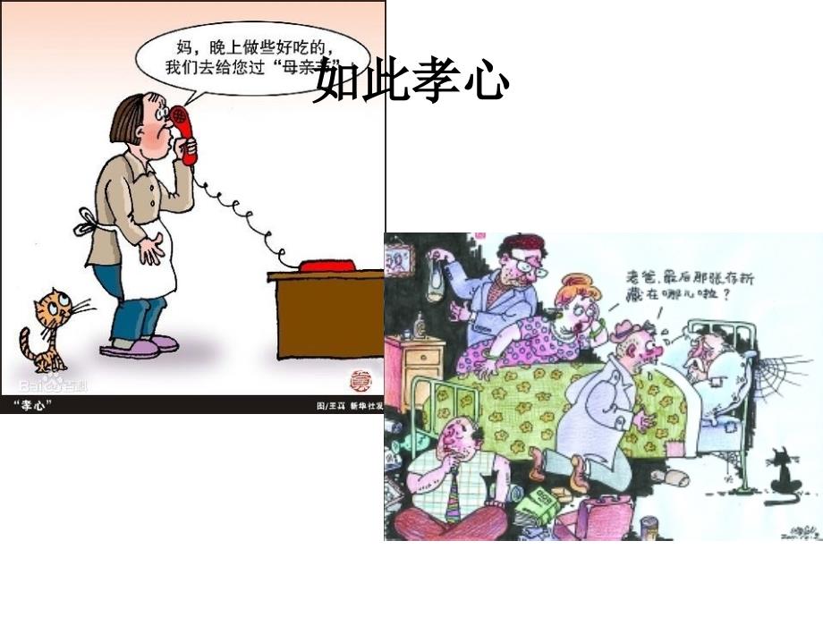 拗九节教学说明_第4页