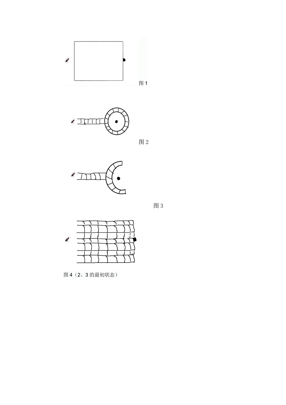 第二小组 探究蚂蚁的通讯实验.doc_第2页