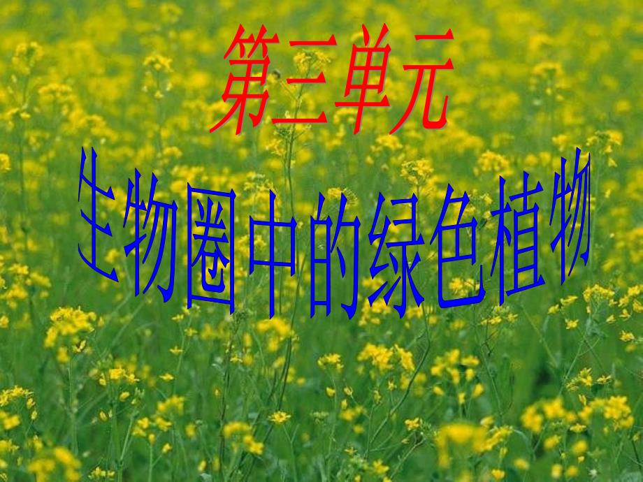 藻类、苔藓和蕨类植物_第1页
