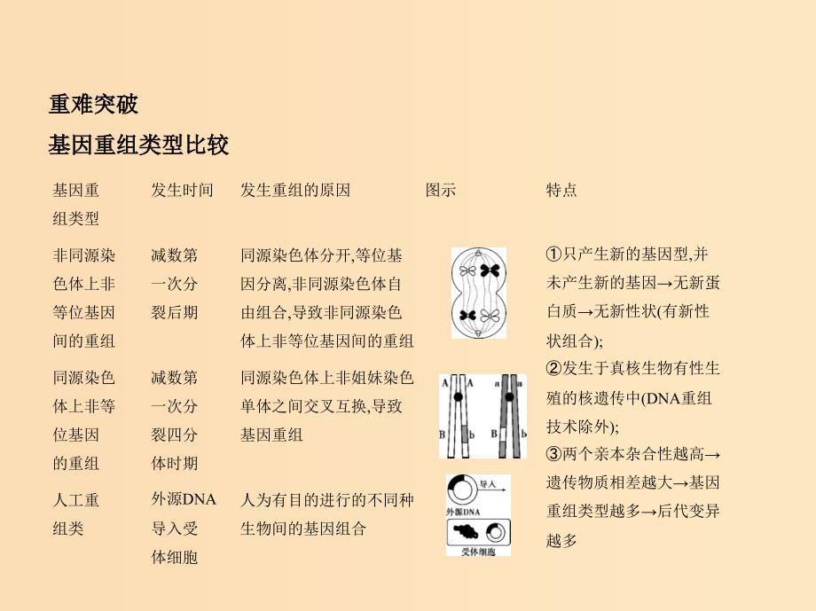 5年高考3年模拟A版浙江省2020年高考生物总复习专题14生物变异的来源课件.ppt_第4页