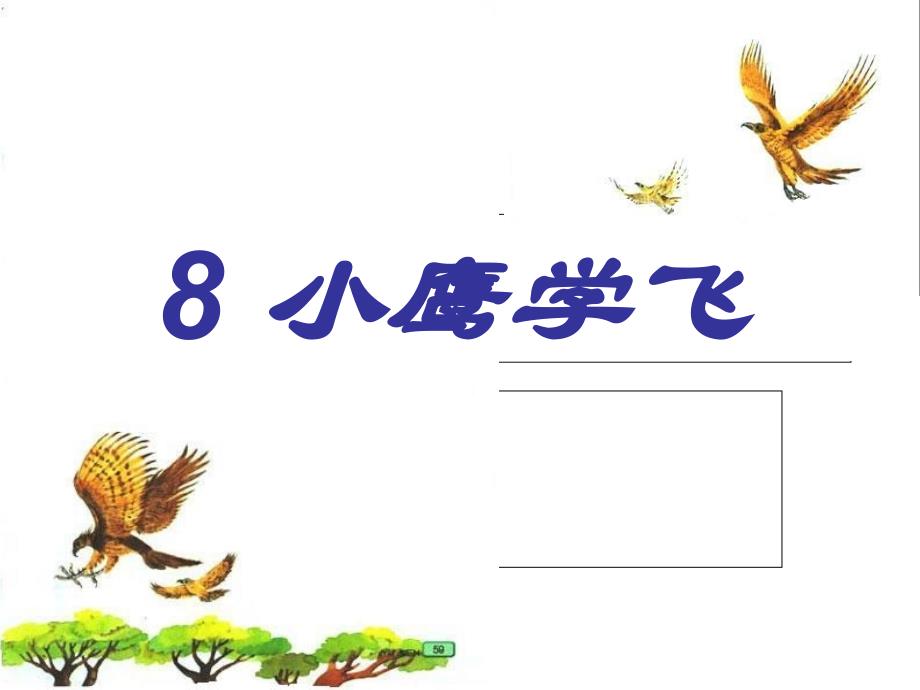 苏教版小学语文二年级上册《小鹰学飞》课件_第4页