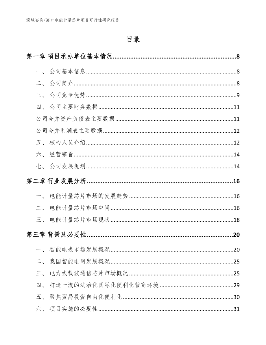 海口电能计量芯片项目可行性研究报告_第2页