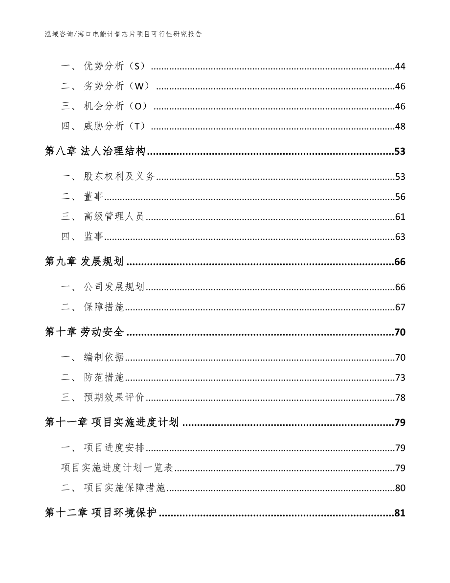 海口电能计量芯片项目可行性研究报告_第4页