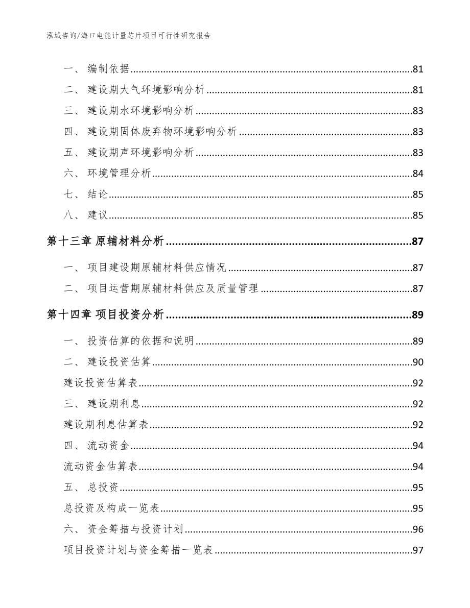 海口电能计量芯片项目可行性研究报告_第5页