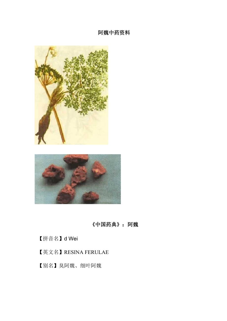 阿魏中药资料_第1页