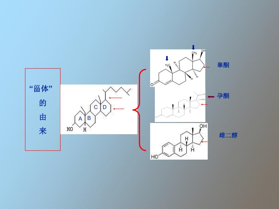 避孕节育知识与技能_第3页