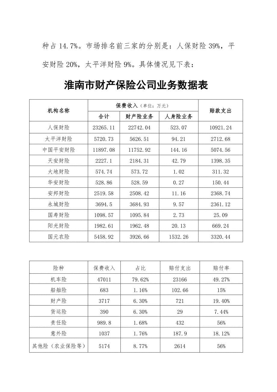 太平财险三年规划详解_第5页