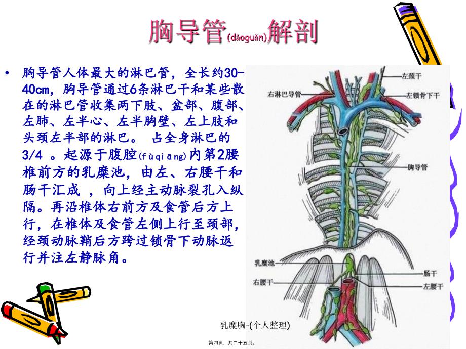 乳糜胸个人整理课件_第4页