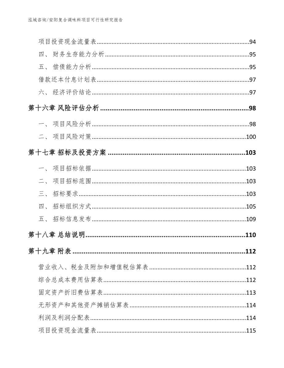 安阳复合调味料项目可行性研究报告_第5页