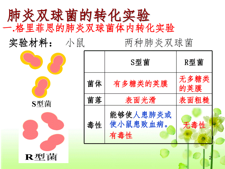 肺炎双球菌的转化实验PPT精品文档_第2页