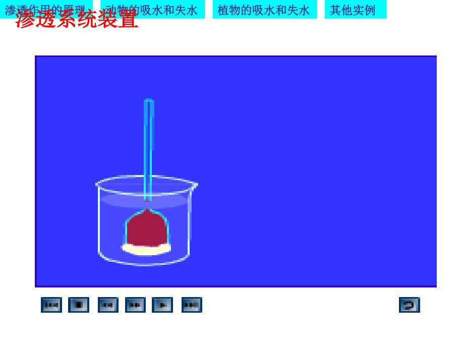 物质跨膜运输的实例优质课凤_第2页