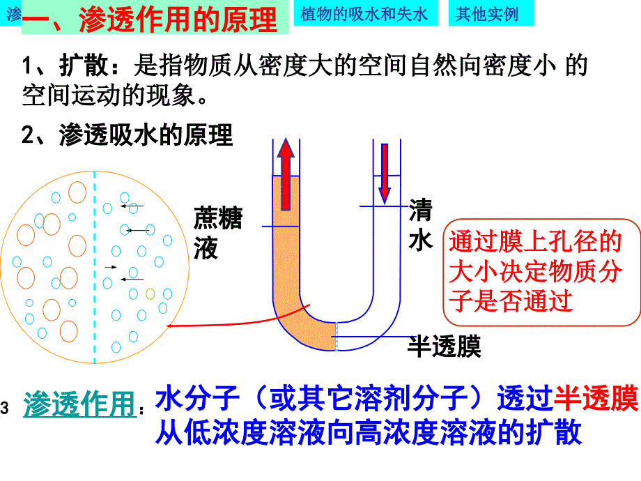 物质跨膜运输的实例优质课凤_第3页