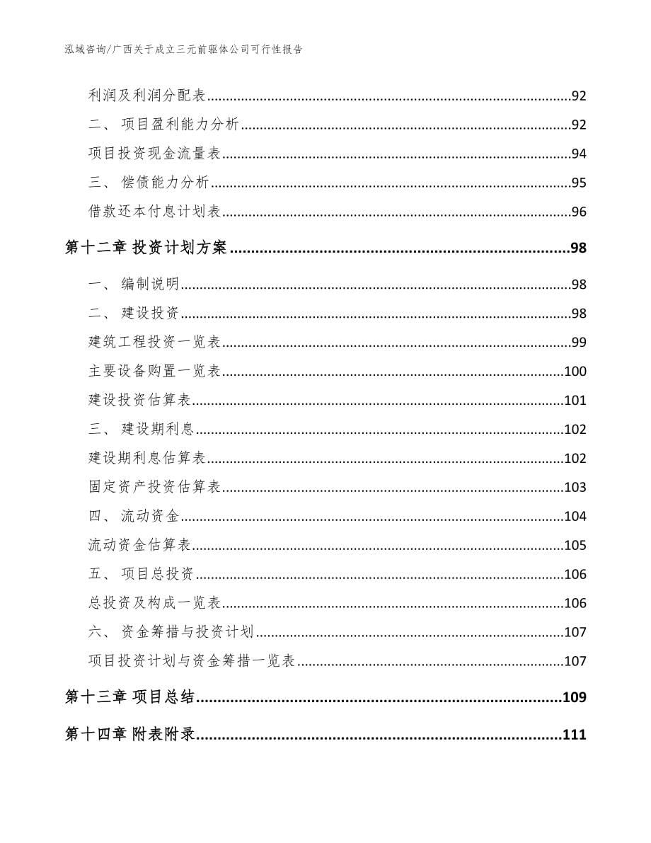 广西关于成立三元前驱体公司可行性报告_模板范本_第5页