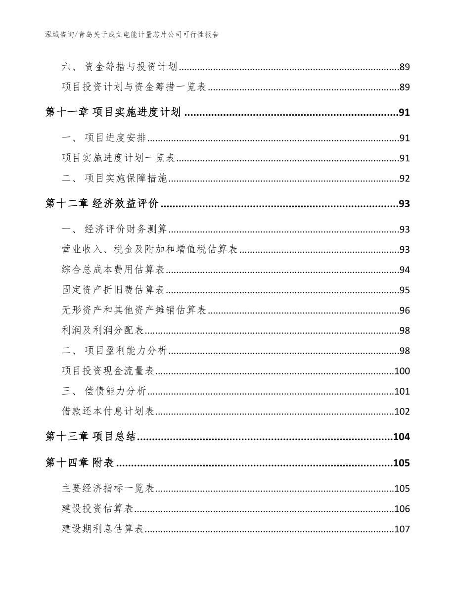 青岛关于成立电能计量芯片公司可行性报告（范文）_第5页