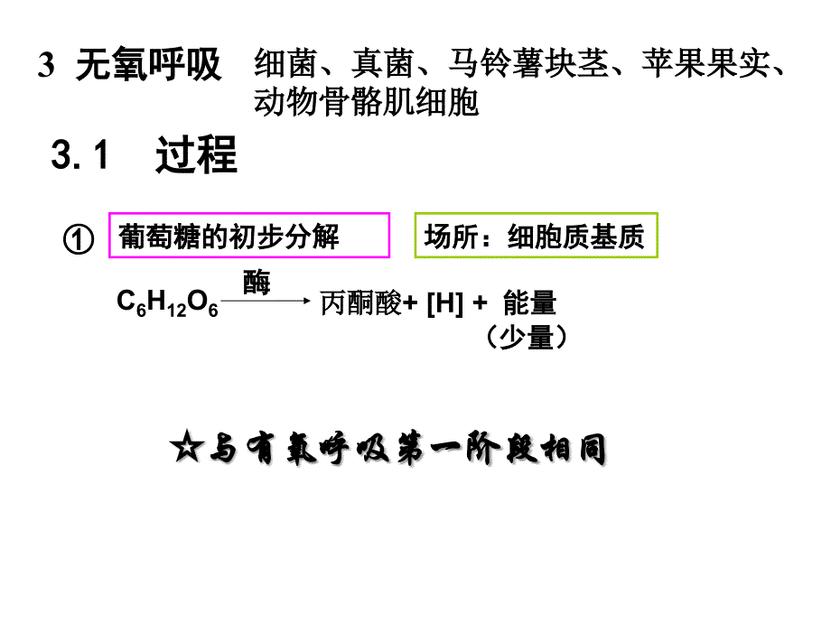 必修一课件第五章第三节无氧呼吸_第2页