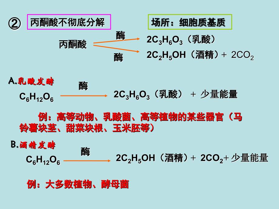 必修一课件第五章第三节无氧呼吸_第3页