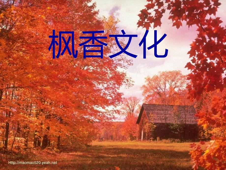 枫香文化ppt课件_第1页