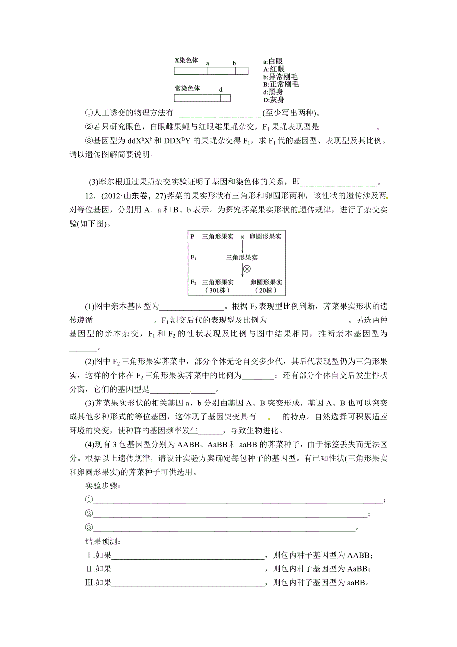 （通用版）2013届高三生物二轮测试题：遗传的基本规律与伴性遗传_第3页