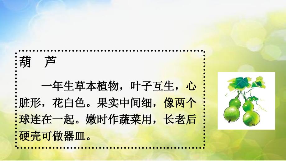 部编语文二年级上册(课堂教学课件1)我要的是葫芦_第3页