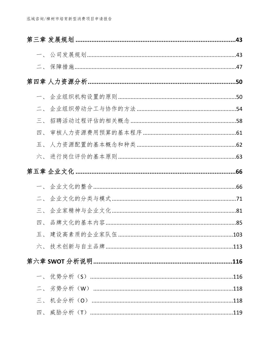 樟树市培育新型消费项目申请报告模板范文_第3页