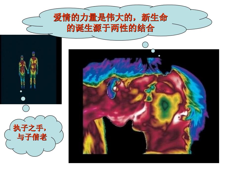 组织学与胚胎学课件：生命的诞生_第3页