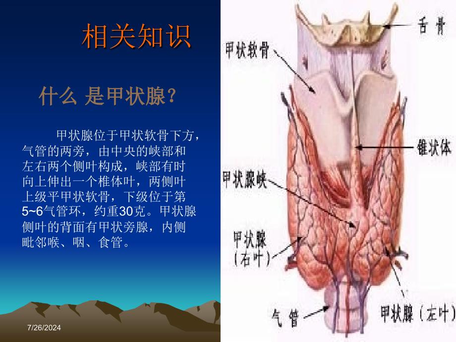 培训资料甲状腺肿护理查房_第3页