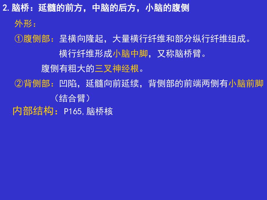 10第九章神经系统2PPT文档_第5页