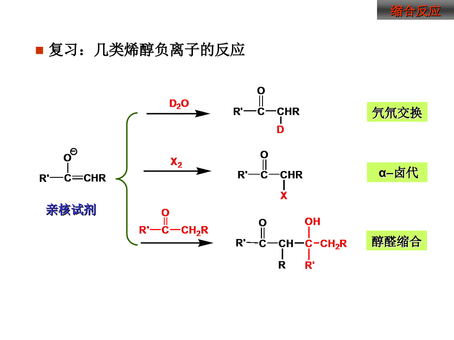 有机化学缩合反应#课堂课资_第3页