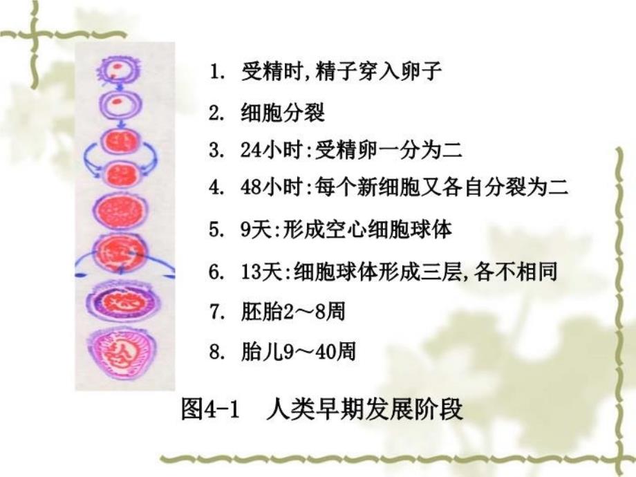 产前保健与胎教_第4页