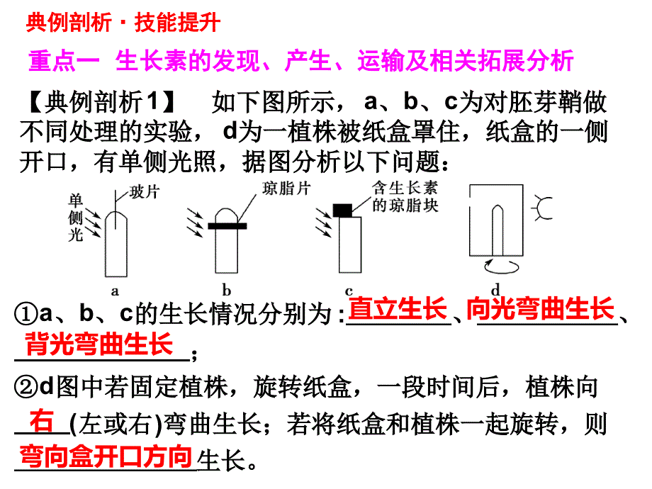 二轮复习植物的激素调节上课精讲_第3页