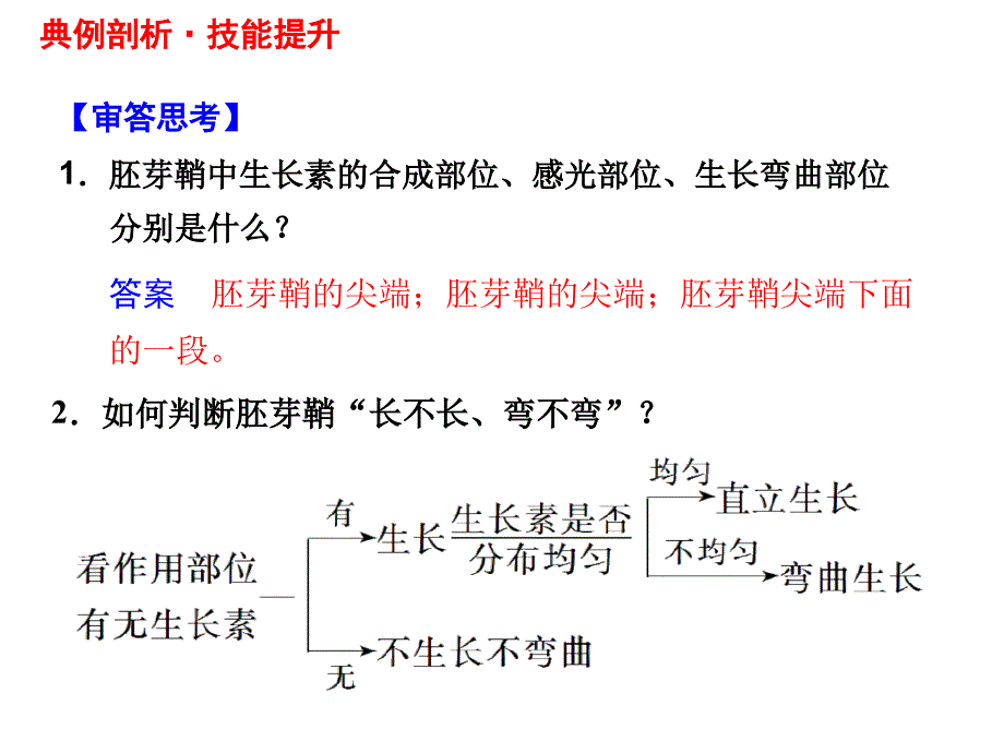 二轮复习植物的激素调节上课精讲_第4页