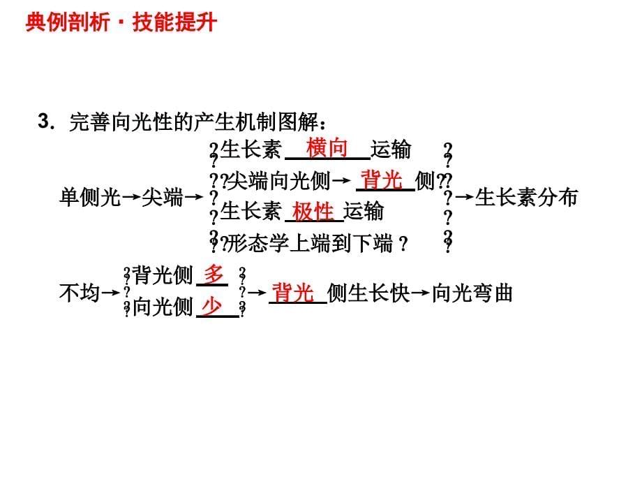 二轮复习植物的激素调节上课精讲_第5页