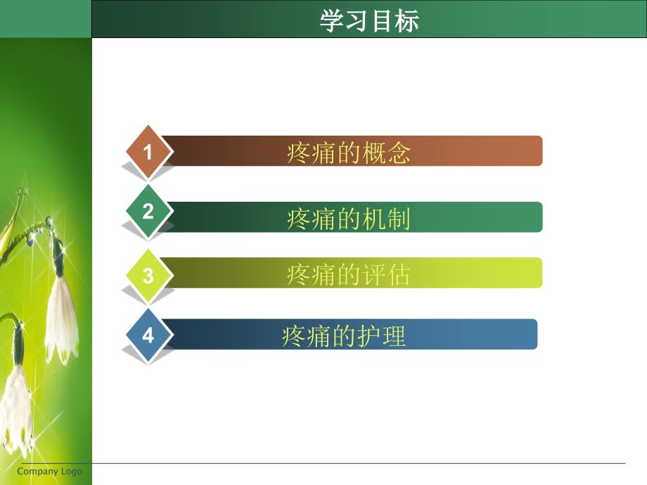 《疼痛护理综述》PPT课件_第3页