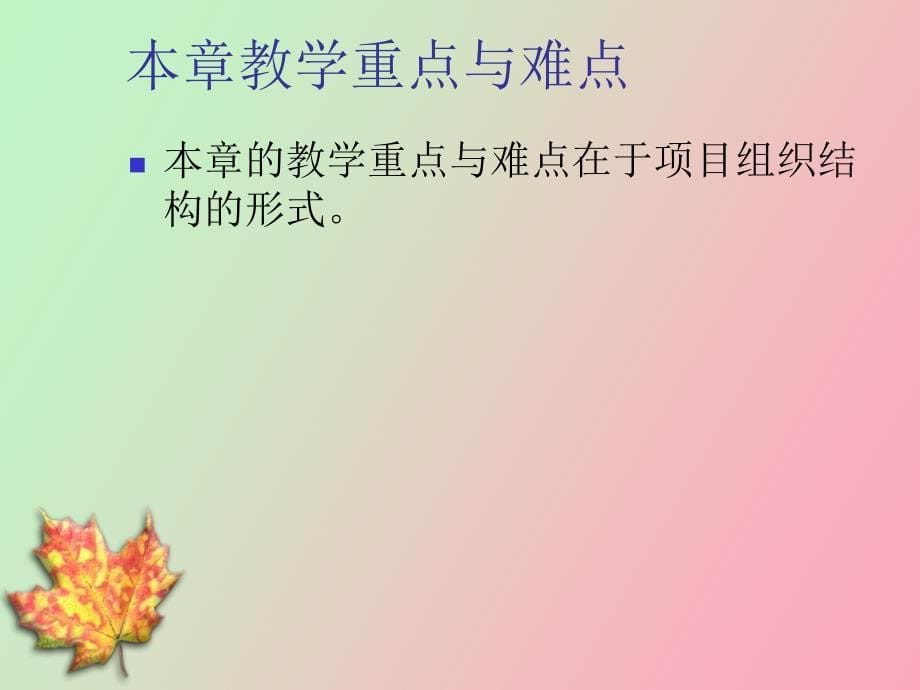 项目组织与项目团队_第5页