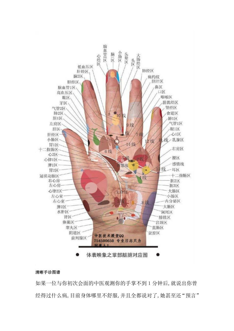 清晰手诊图谱_第1页