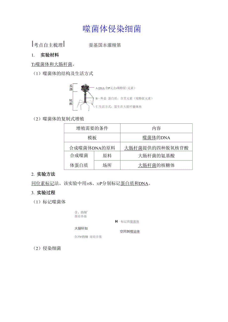 噬菌体侵染细菌_第1页