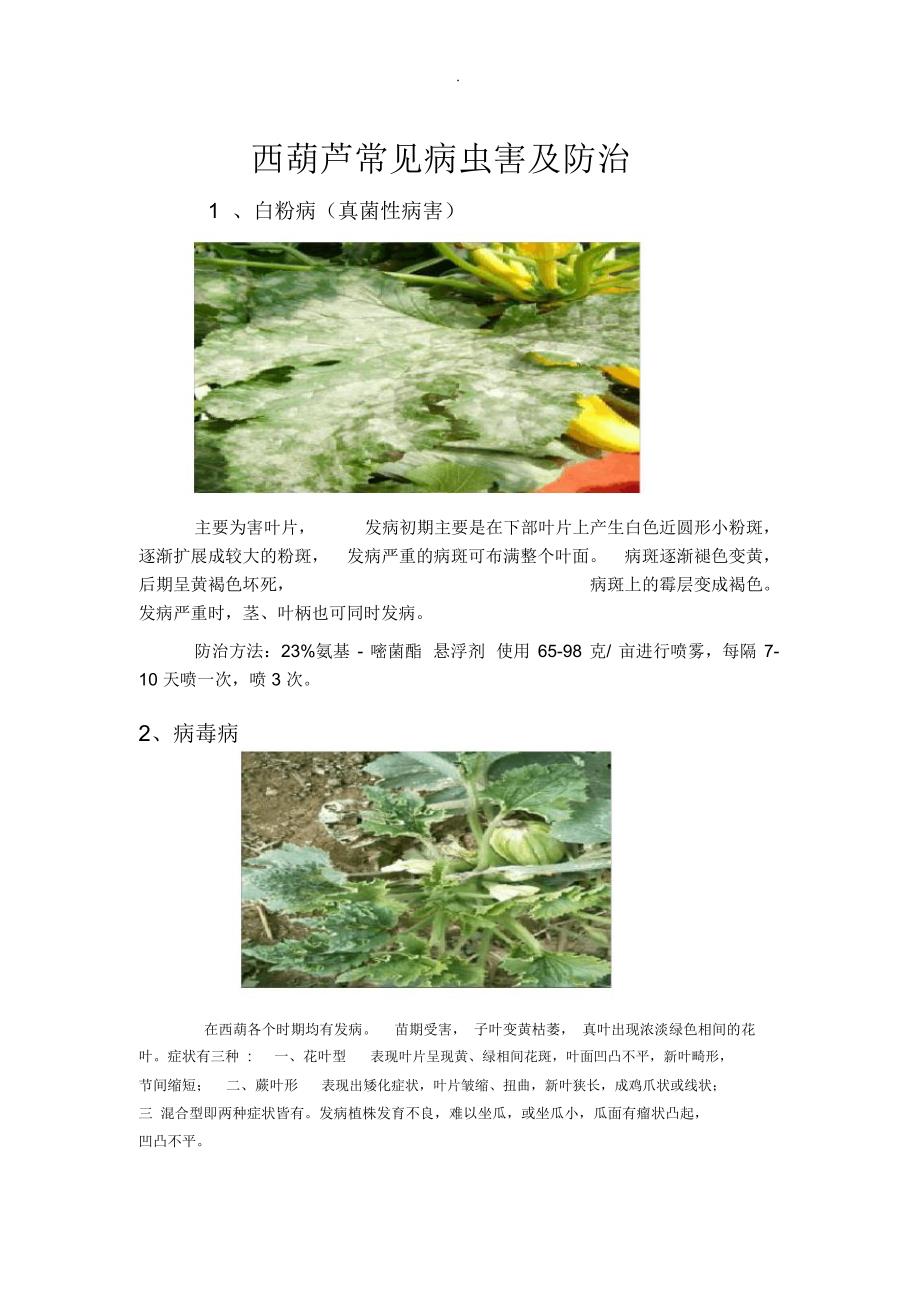 西葫芦常见病虫害及其防治_第1页