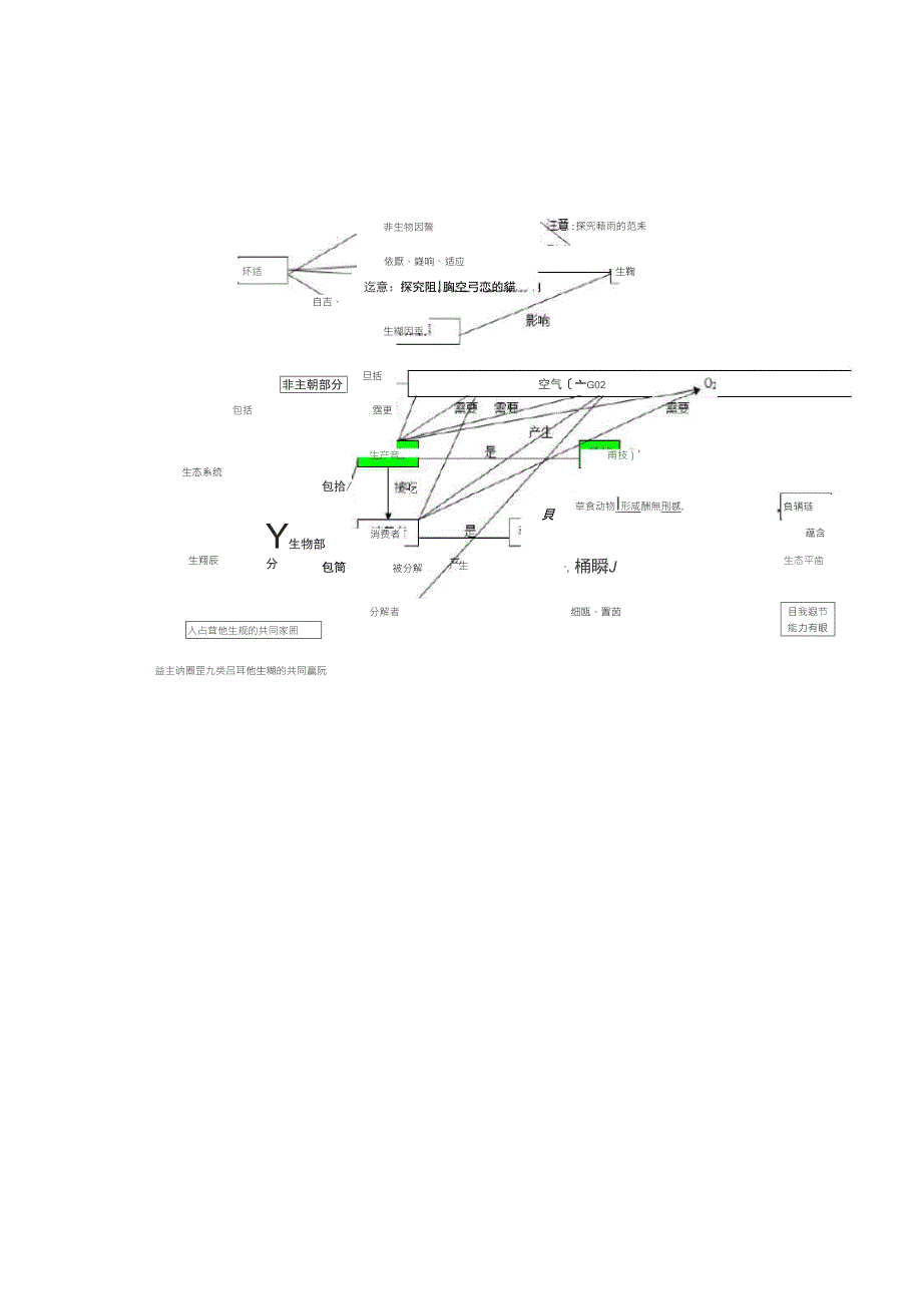 初中生物知识点梳理——思维导图_第3页