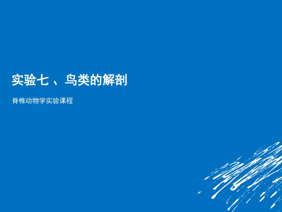 第节鹌鹑的解剖_第1页