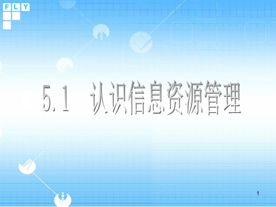 5.1 信息资源管理优秀课件_第1页