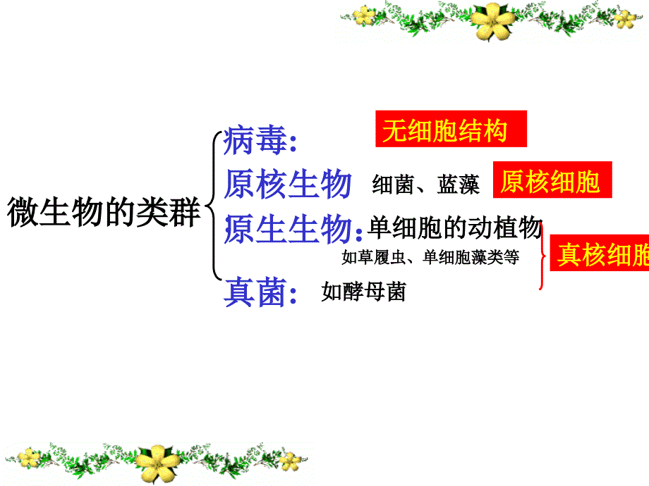 最新微生物的实验室培养上课PPT课件_第2页