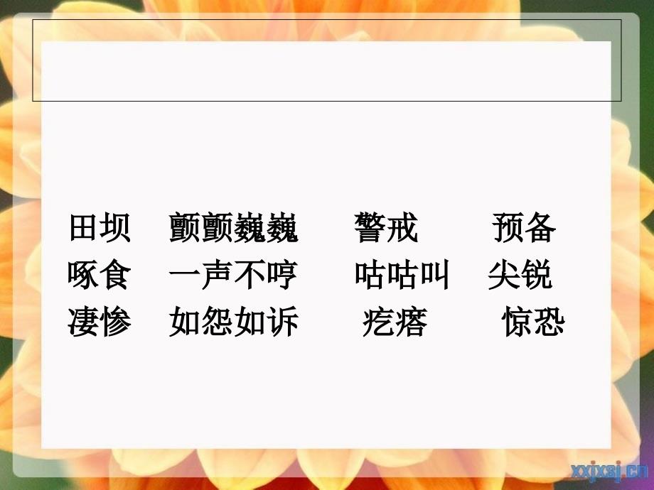 西师大版五年级上册语文第9课母鸡课件PPT_第4页