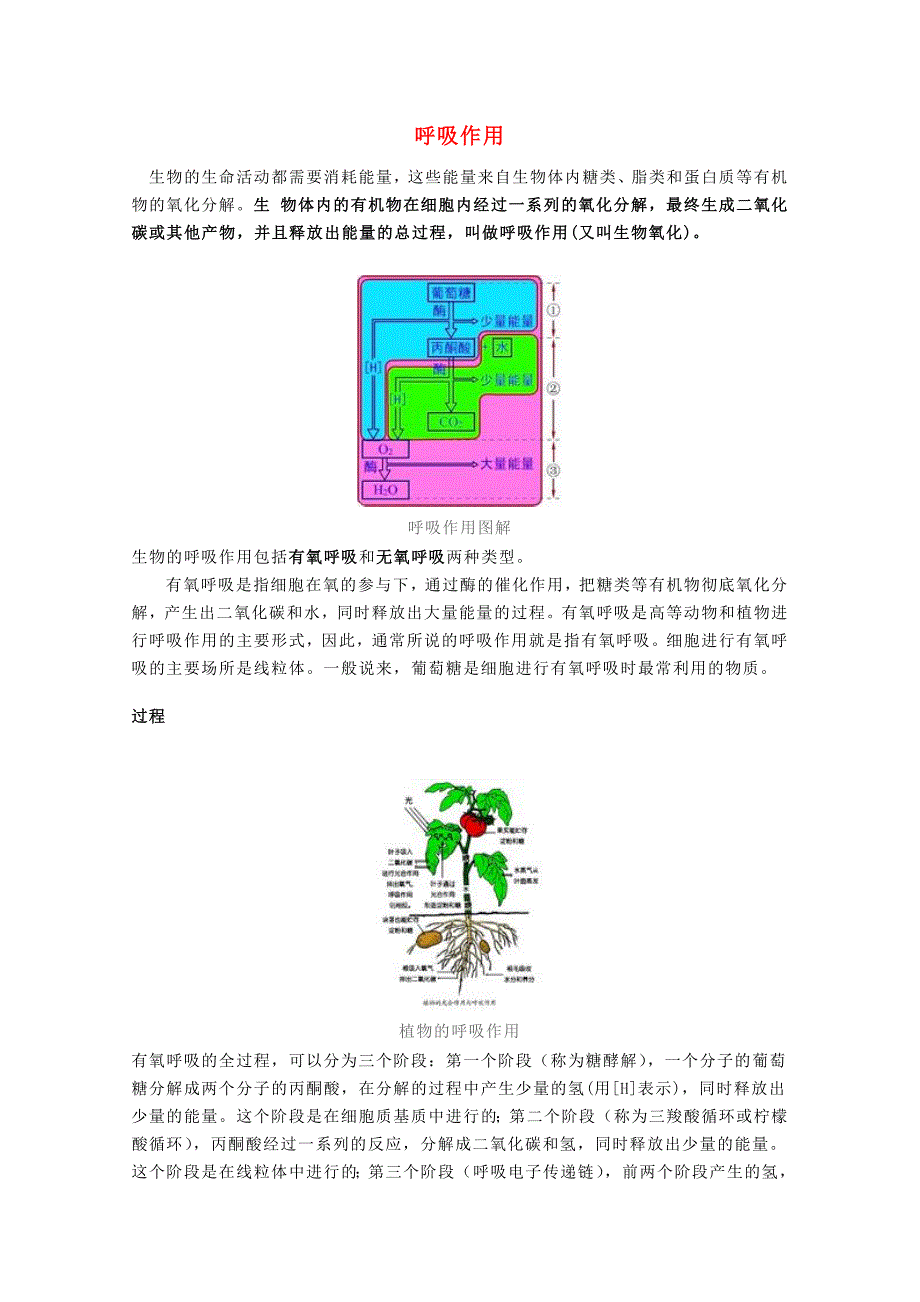 精选类七年级生物上册第三单元第5章绿色开花植物的生活方式第2节呼吸作用文字素材1新版北师大版通用_第1页