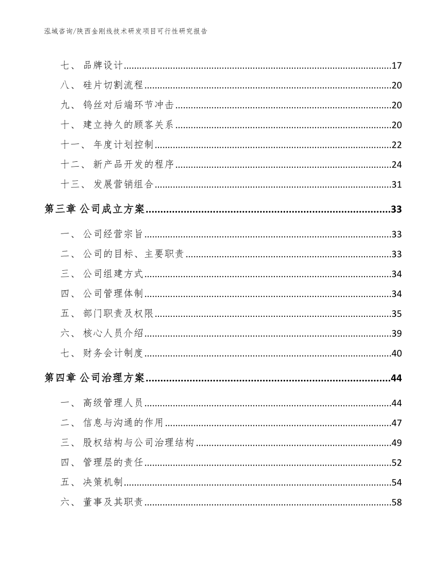 陕西金刚线技术研发项目可行性研究报告【模板】_第4页