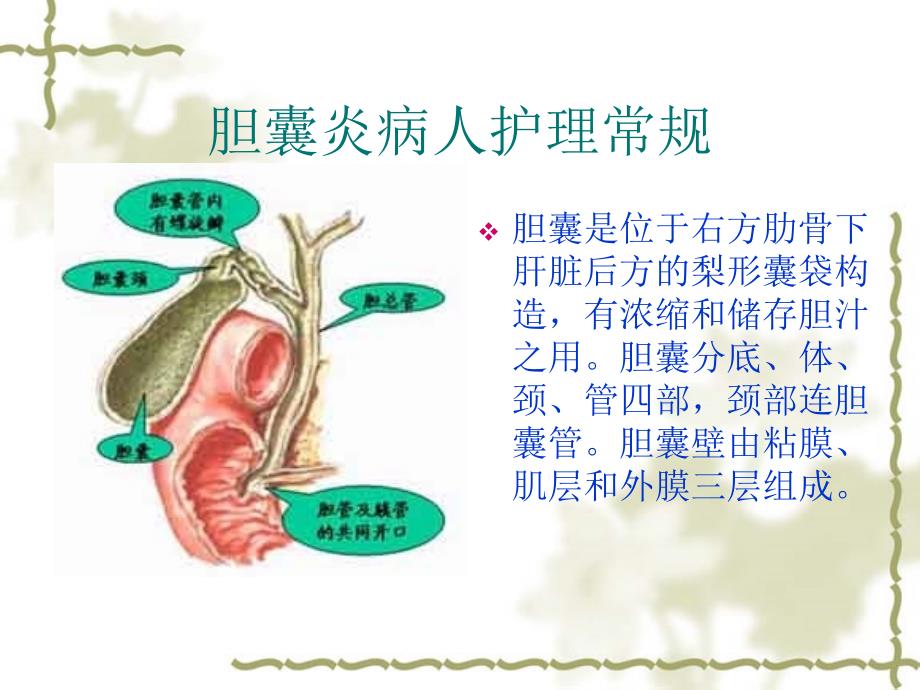 胆囊炎病人护理常_第3页