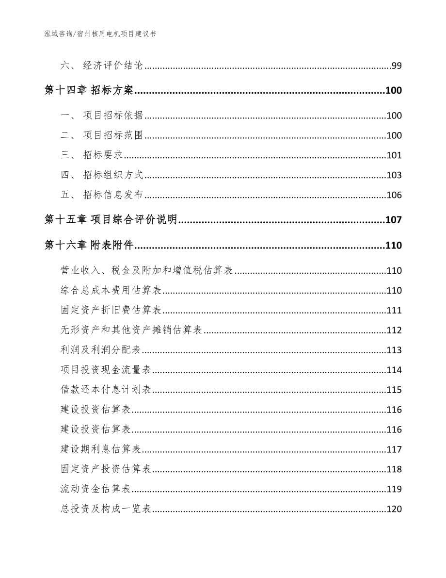 宿州核用电机项目建议书模板_第5页