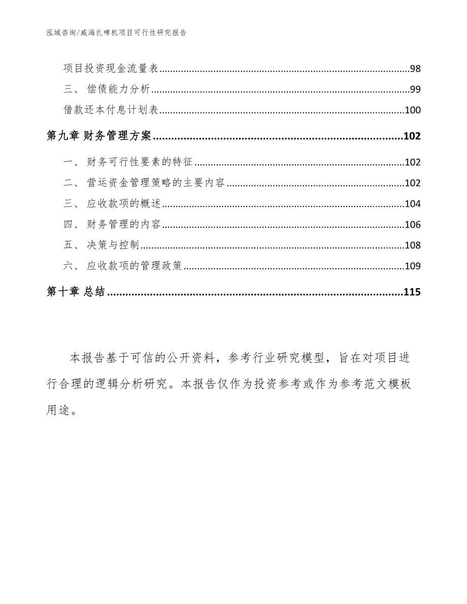 威海扎啤机项目可行性研究报告_第5页