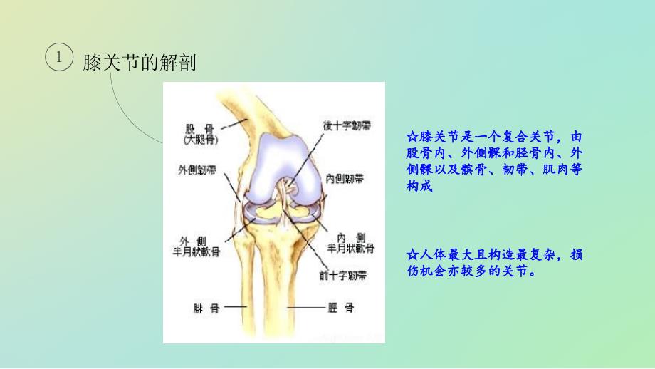 全膝关节置换术的围手术期护理课件_第2页